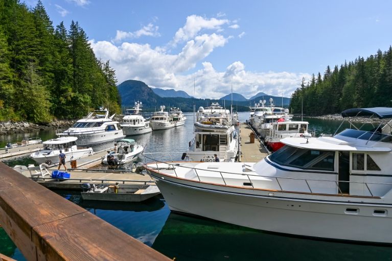 dent island marina views